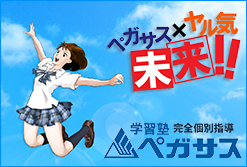 学習塾ペガサス　完全個別指導　全国展開